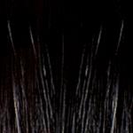 SHE HAIR EXTENSION CIOCCHE CHERATINA CM.55/60 CF.10PZ NERO 1B